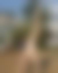 nudity gymnastics|Gymnastics with naked twins Porn Pic - EPORNER