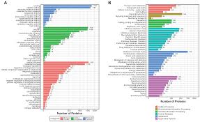 go ara  fake nude|プールヴー PourVousワンピースミモレ丈と七分袖ハイウエスト大きいサイズフォーマル ワンピース 20代 30代 40代 （テラコッタ）  -靴＆ファッション通販 ロコンド〜自宅で試着、気軽に返品