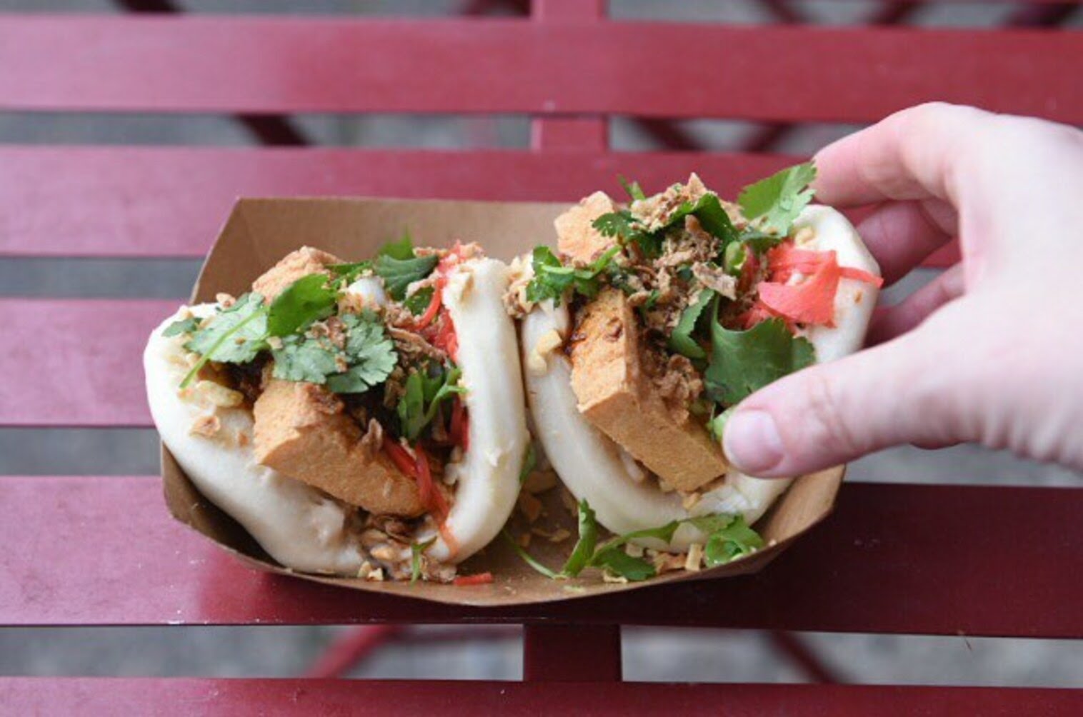 Dumplings of Fury by null