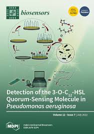 naked hebe  cp porn pics onion is|2018クリスマスプロモーション「UNDER THE CHRISTMAS LIGHTS」 | カッシーナ・イクスシー