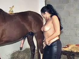 Blonde does wild anal with her wonderful horse zoo porn jpg x Woman sex with horse