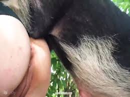 Pig fuck girl porn ass porn fuck jpg x Pig fuck girl