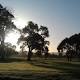 Dry zone trial in Adelaide's parklands could be extended after report shows ... 