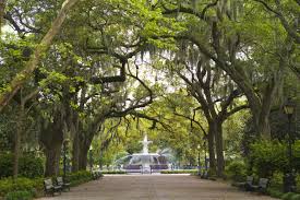 Savannah tourism