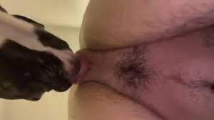 Animal porn woman lets dog lick her pussy clean jpg x Dog licking pussy