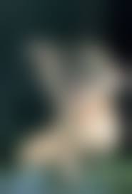 緊縛画像　両手を後ろに|手を後ろに回せ : H欲旺盛のblog