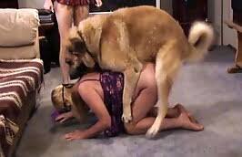 Big dog fucks girl jpg x Big dog fucks girl