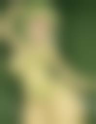 green slime porn|Green slime - PornZog Free Porn Clips