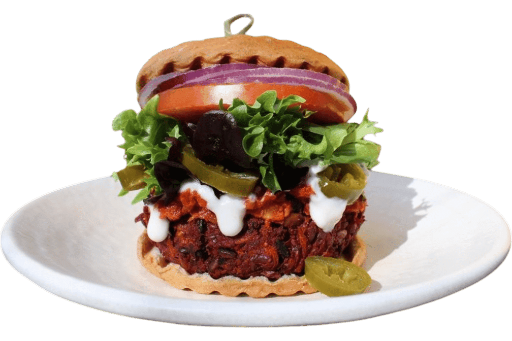 Sunflower Cafe by null