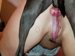 Artofzoo domino pippa threesome dog fuck thumbnail jpg x Dog fucks woman