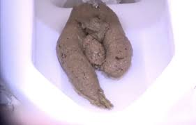 japanese girls big pooping pics|Xpee