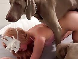 Animal sex free fuck jpg x Woman fucking animals