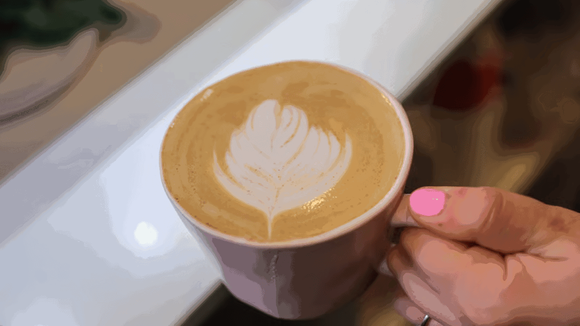 Jackie & Sons by null