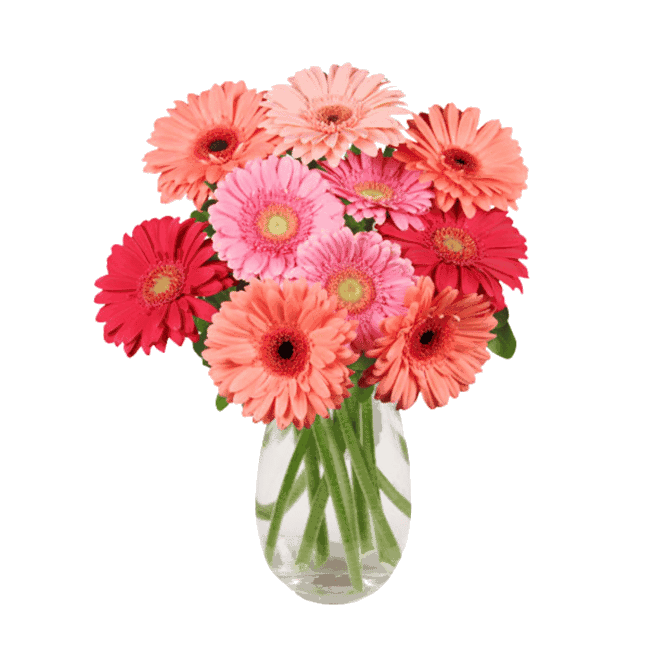 Stems Florist by null