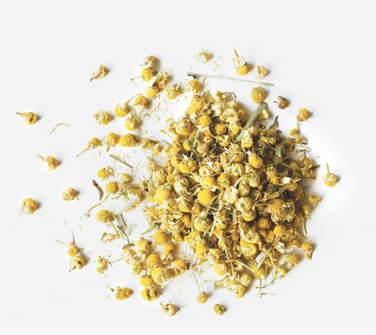 Momentum Coffee Austin by null