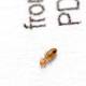 Homes in Wealthier Neighborhoods Tend to Have More Bugs 