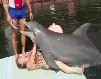 Dolphin fucks girl page jpg x Dolphin fucks girl