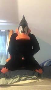 Page kcnite bottom daffy gayfus gay sex and porn comics jpg x Daffy duck