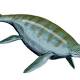 Ichthyosaurs – Ancient Victims of Climate Change 