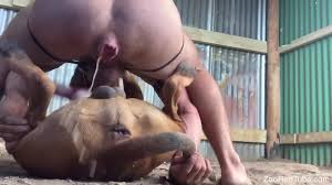 Fit guy on his hands and knees as he gets fucked his loyal dog luxuretv jpg x Guy gets fucked by dog