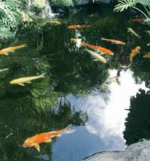 人妻斬り 福沢早織 無修正剃毛|チベットよわー g2CDeINig2eC5oLtgVs コメント履歴 No: 100000