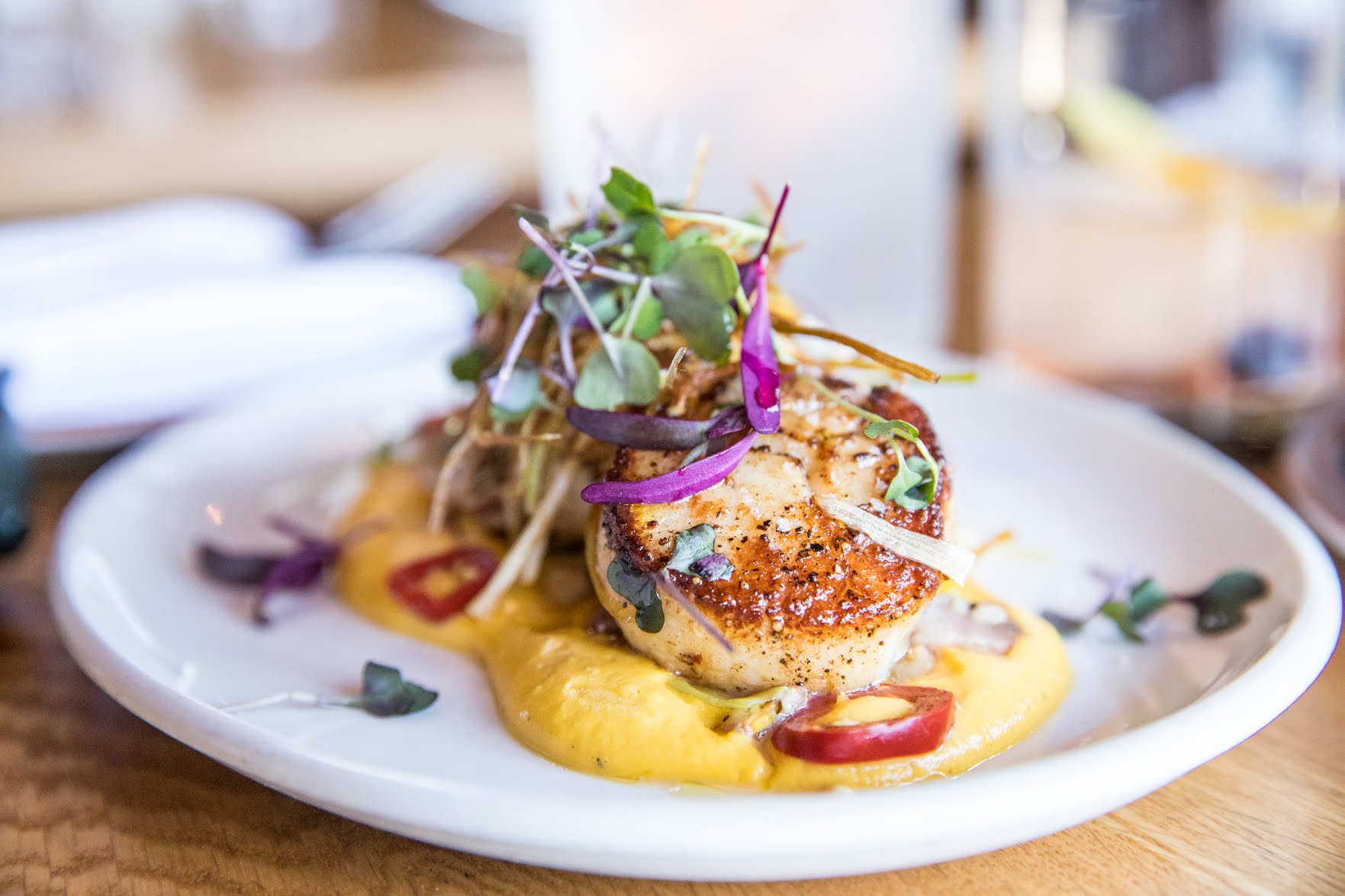 Steak & Whisky American Tavern by null