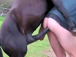 A king of animal sex dog sex videos porn dog jpg x Animal sex videos