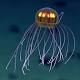 This newly discovered jellyfish looks like something out of 'Avatar' 