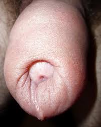 Ugly guy with beautiful huge cock and balls jpg x Ugly dick