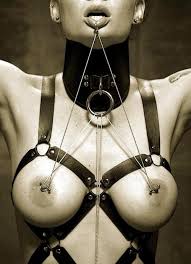 Nipple clamps jpg x Nipple clamps