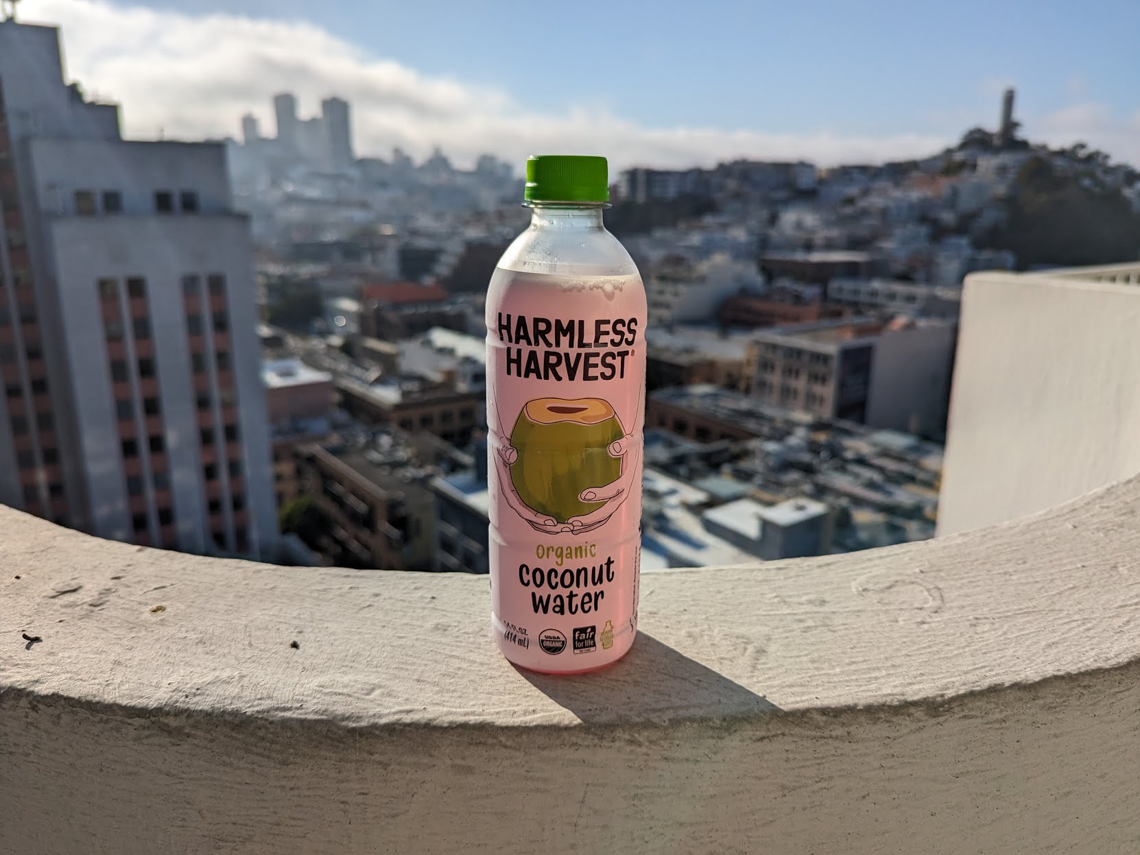 Il Canto Cafe by null