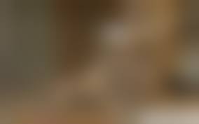 animal sex porn|Animal porn, sex dolls, illicit photos - Check out this exclusive NSFW peek  inside the Museum of Sex | Salon.com