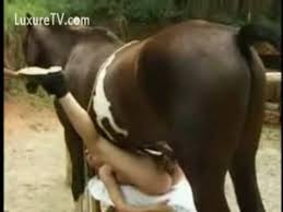 Girl has sex with horse jpg x Girl has sex with horse