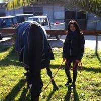 CBRL-003 ValensiyaS|バレンシアS / コレクション15正規品 アイドルBD｜Yahoo!フリマ（旧PayPayフリマ）