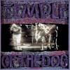 Temple of the Dog