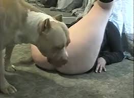 Bestiality animal sex dog very like to fuck a girl outoor sickporn jpg x Girl sex with dog