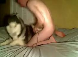 Man fucks female dog after gay sex free bestiality and animal porn jpg x Guy gets fucked by dog