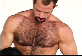 Gay hairy men jpg x Gay hairy men