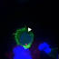 Ökaryot ve Prokaryot Hücreler Arasındaki Farklar ile ilgili video