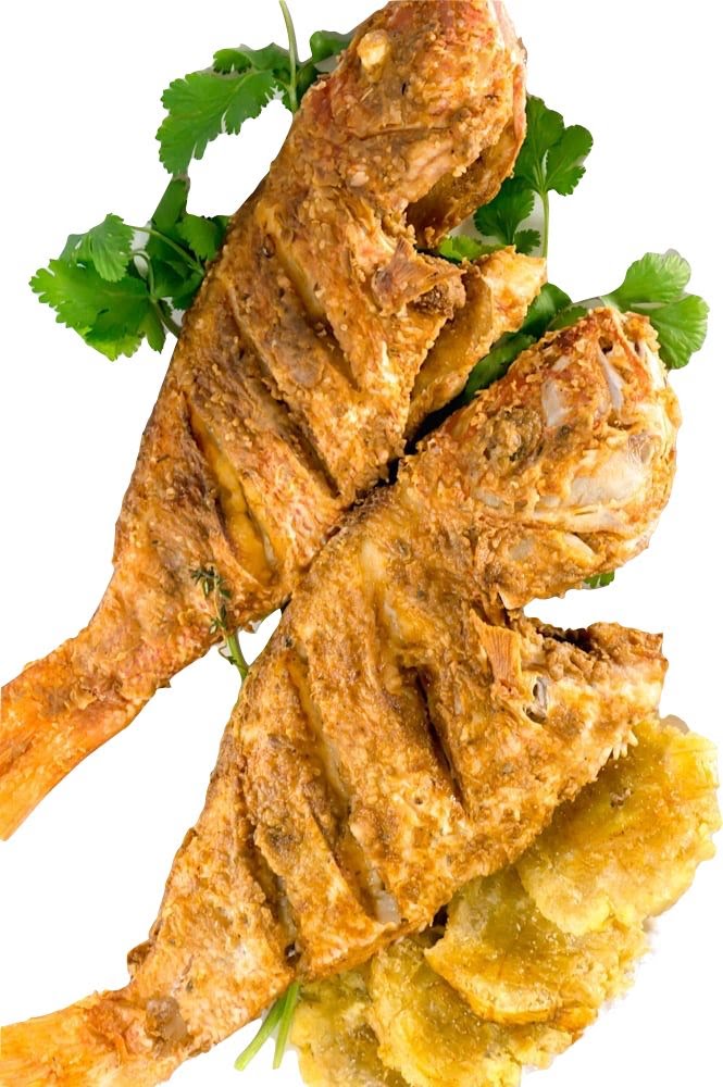 TapTap Cuisine by null