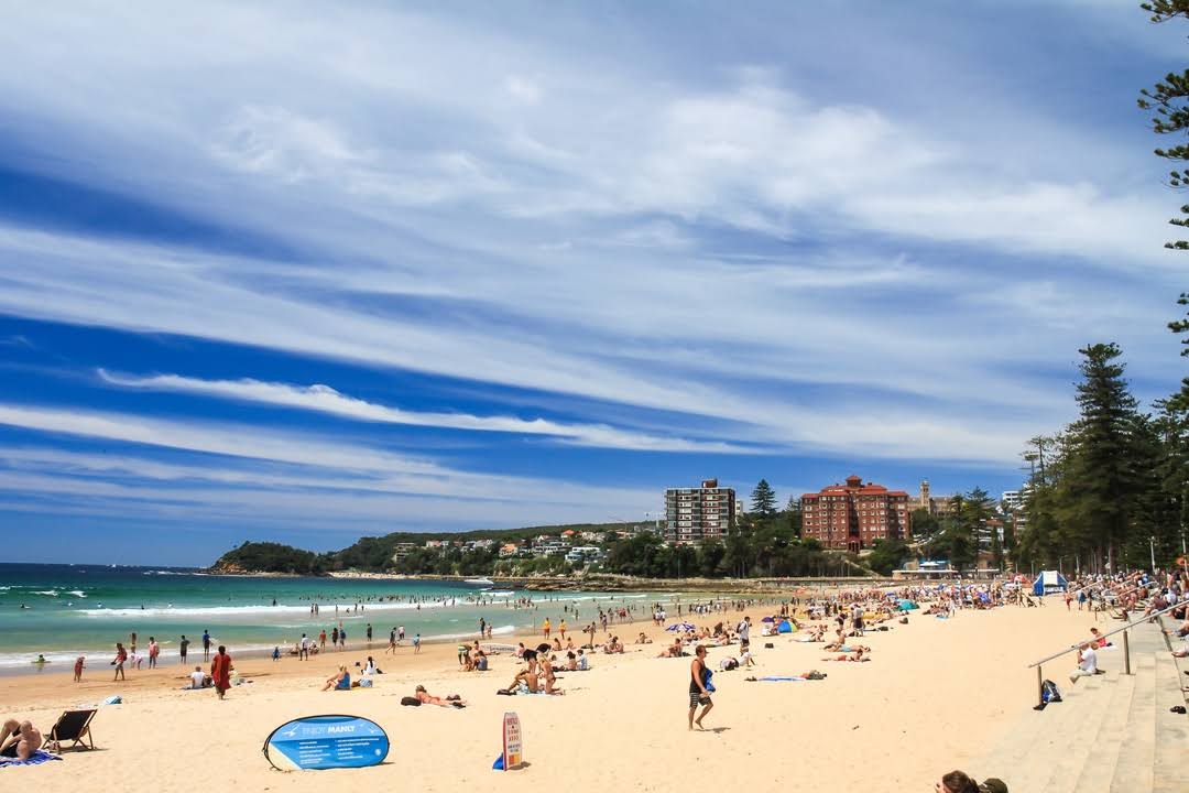 Manly Beach by null