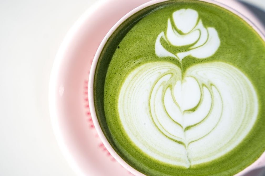 Parakeet Café by null