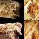 Large Carnivores May Have Eaten Ancient Hominins 