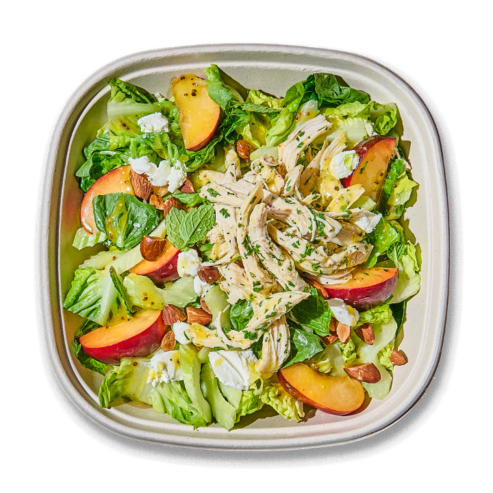 Grillbird Phinney by null