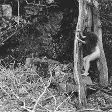 forest nudist|Amazon.com: Will Forest: books, biography, latest update