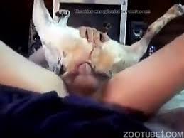 Married guy getting rammed from behind a strong dog luxuretv jpg x Guy fucked by dog