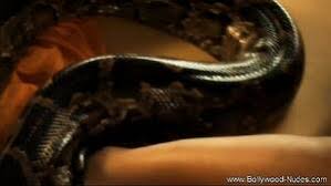 Snake fuck women videos free porn videos jpg x Guy fucks snake