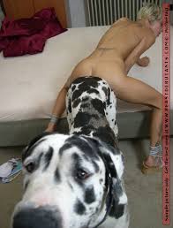 Dog sex videos woman dog porn jpg x Women and dog sex