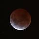 Unlucky Sydney and Brisbane miss out on Easter Saturday's 'blood moon' lunar ... 