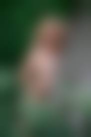 年轻的裸体|年轻的裸体主义者在外面很热的时候玩得很开心- Pornhub Gay